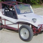 Buggy7